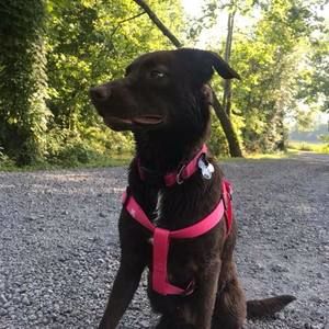 Meet your Posher, Ashley